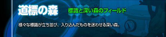 標識と深い森のフィールド[道標の森]様々な標識が立ち並び、入り込んだものを迷わせる深い森。